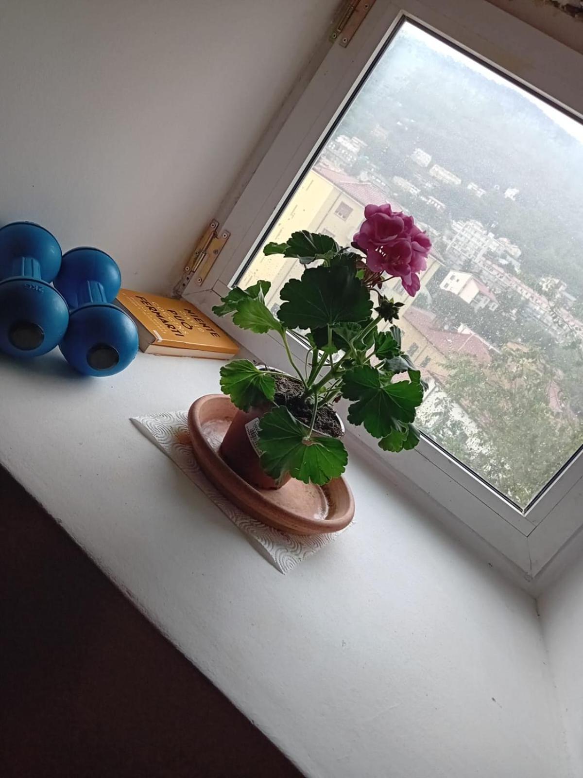 Antonini Apartments Triest Zewnętrze zdjęcie